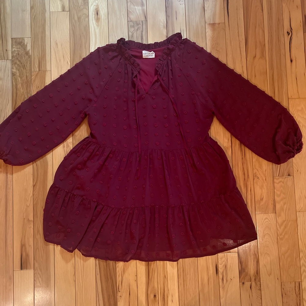 Women’s Burgundy Dotted Dress